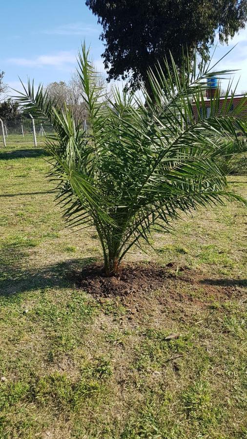 Olivera Terrabox Apart De Contenedores מראה חיצוני תמונה